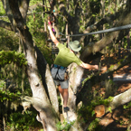 treego prices