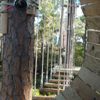 treeGO GAMES